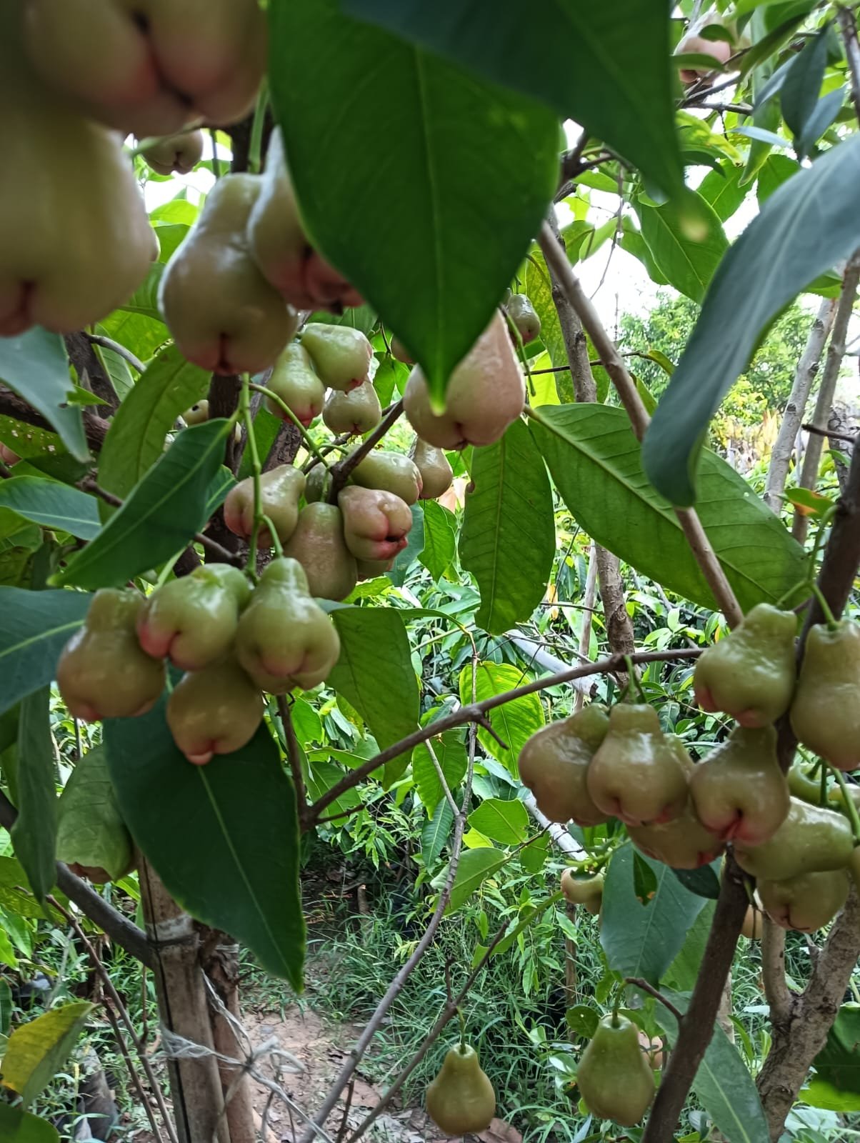 CSR initiative image 1