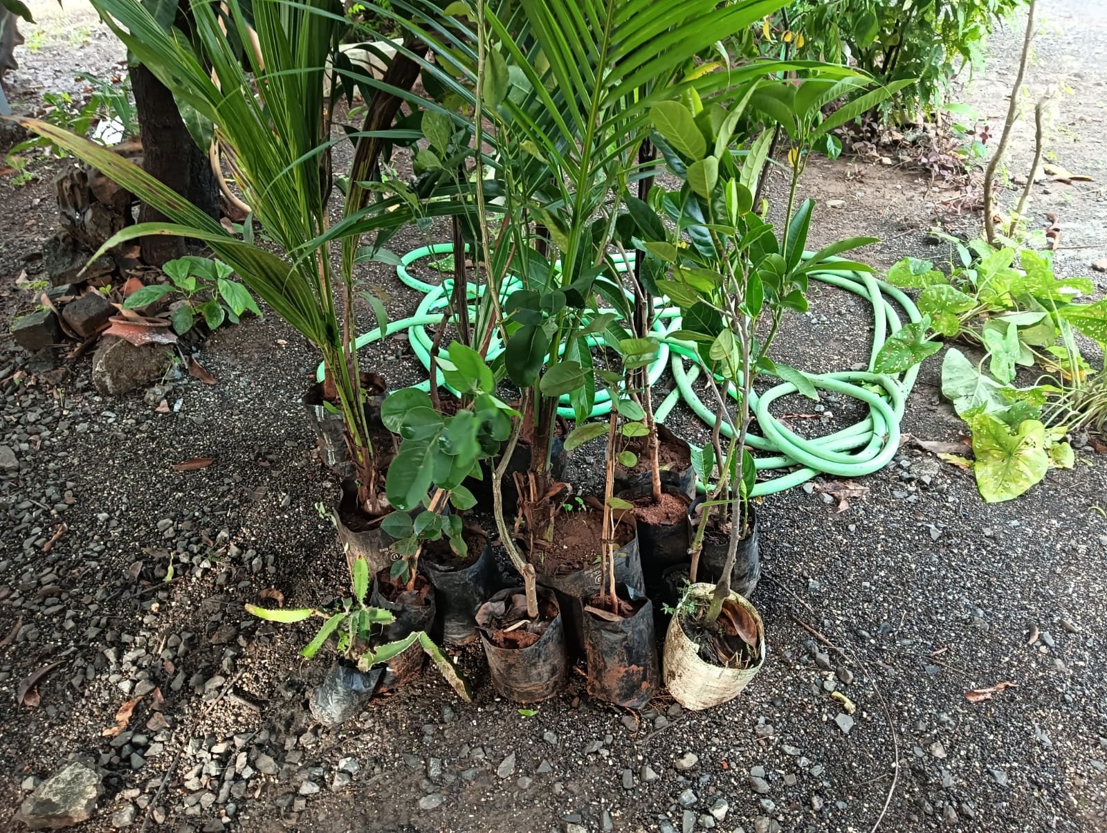 CSR initiative image 3